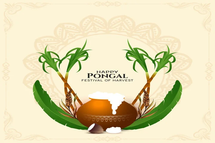 happy-pongal