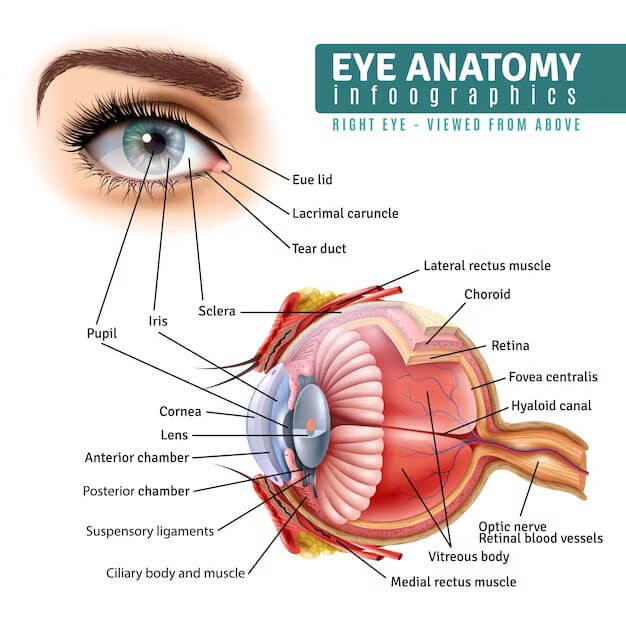 cornea Bhalanetra eyecare hospital mumbai